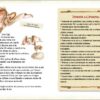 Ricette bestiali