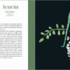 arte_api_interno2 L’ Arte delle Api